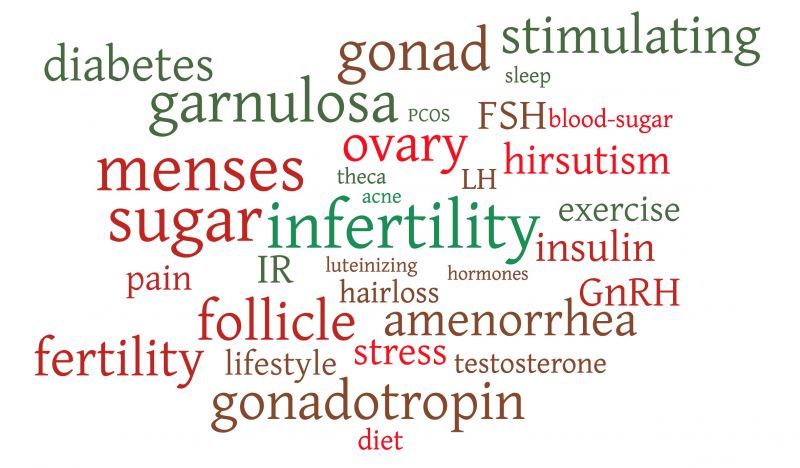 How insulin resistance is linked to PCOS and period issues