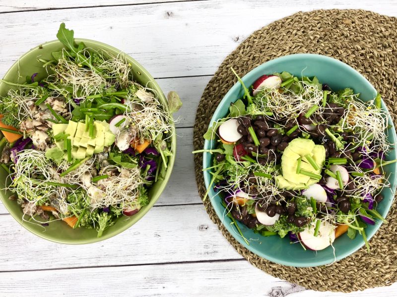 One paleo salad and one vegan salad