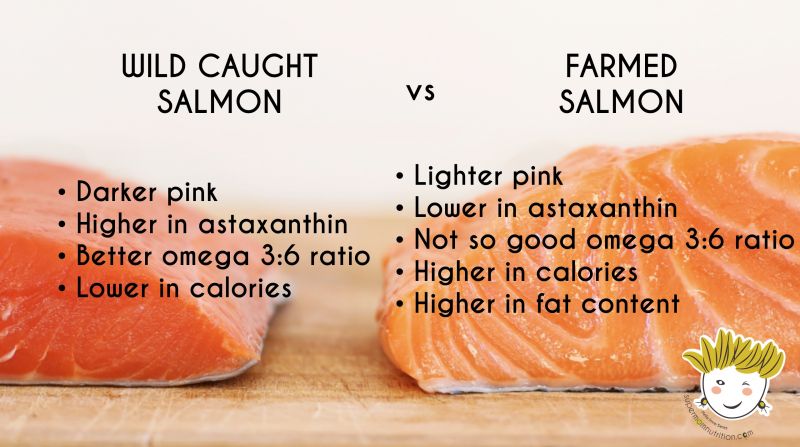 Why is wild caught salmon healthier?