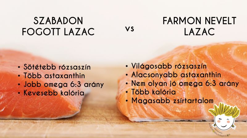 wild_caught_salmon_vs_farmed_salmon_header_hu