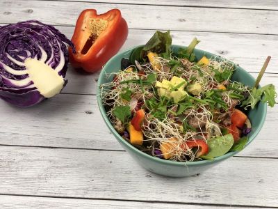 Dandelion anchovies salad