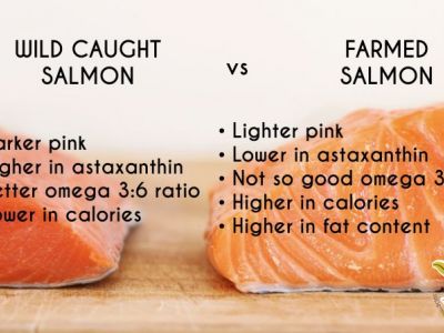 Why is wild caught salmon healthier?